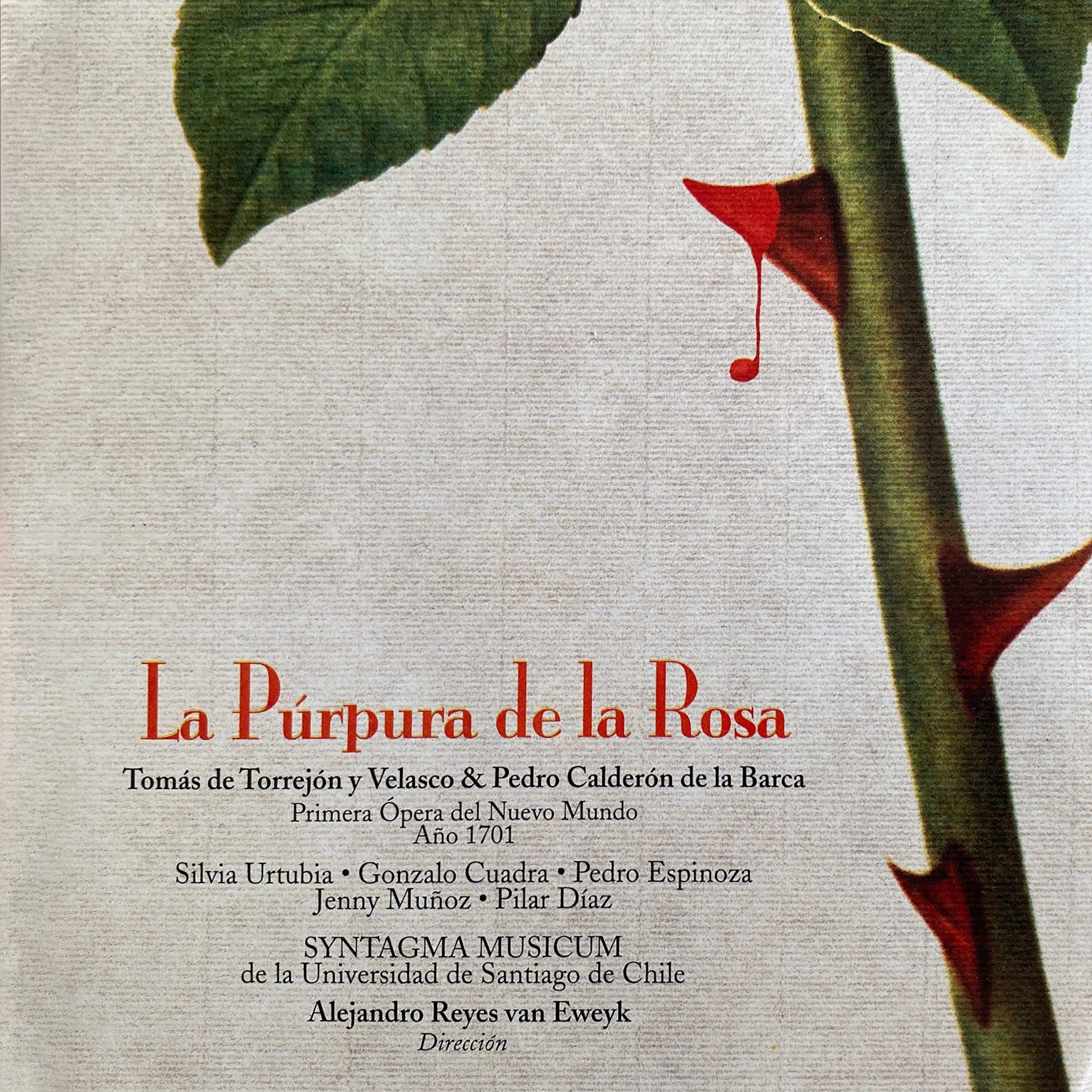 La púrpura de la rosa